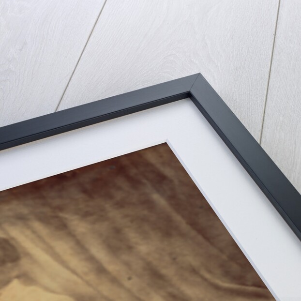 Madagascar Portrait by Reverend William Ellis