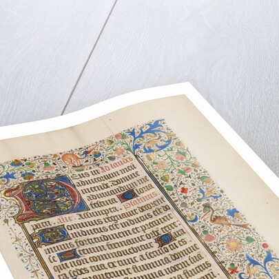 Decorated Text Page by Anonymous