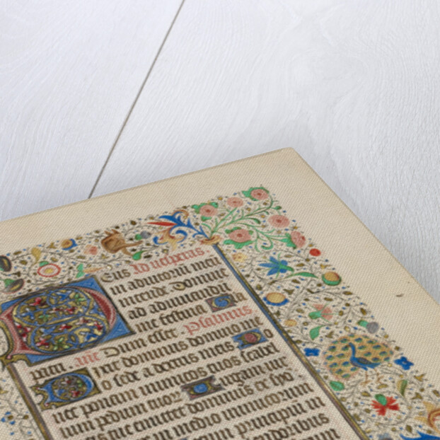 Decorated Text Page by Anonymous