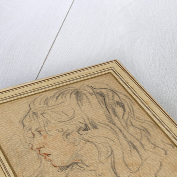 Head of a Young Boy by Jan Cossiers