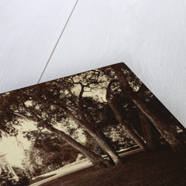 Thurlow Lodge - Lawn and House by Carleton Watkins