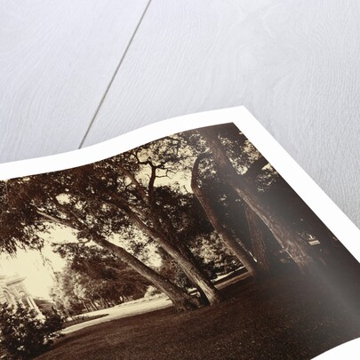 Thurlow Lodge - Lawn and House by Carleton Watkins