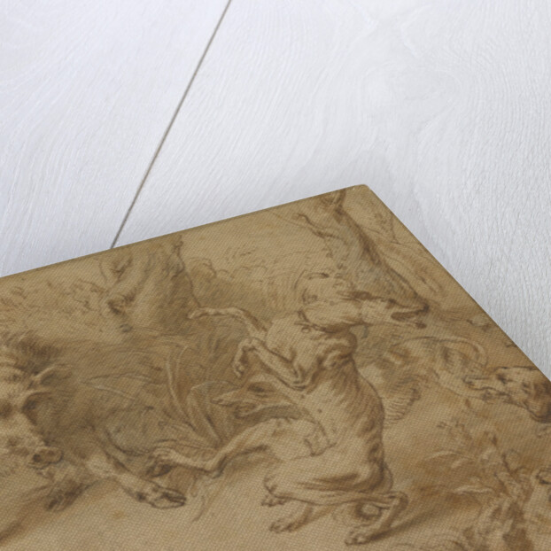 A Wild Boar at Bay by Frans Snyders