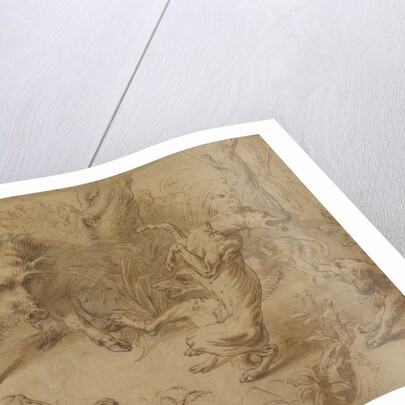 A Wild Boar at Bay by Frans Snyders