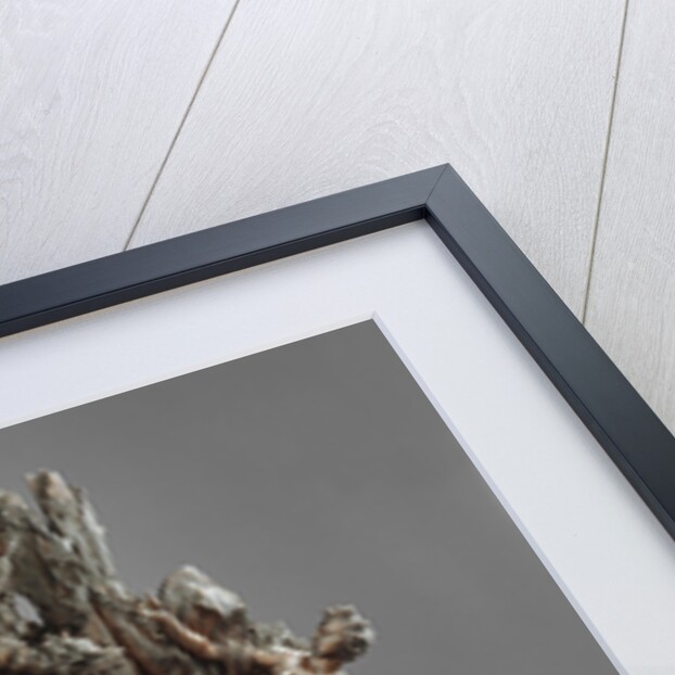 Andromeda and the Sea-Monster, Leda and the Swan by Massimiliano Soldani-Benzi