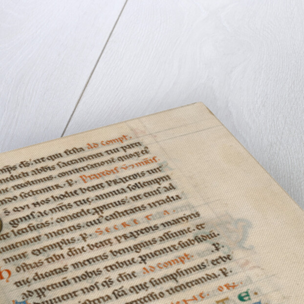 Decorated Initial B by Anonymous