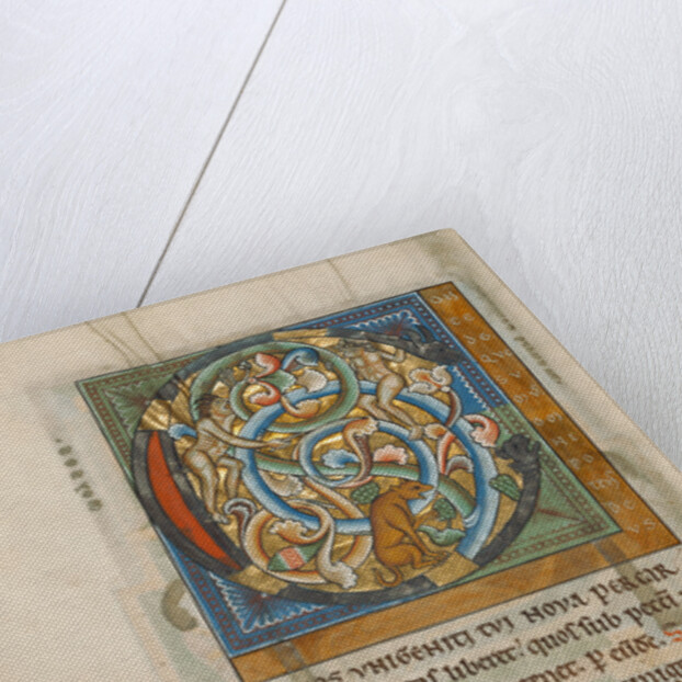 Inhabited Initial C by Anonymous