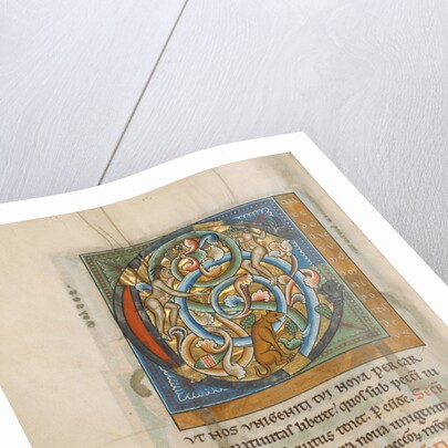 Inhabited Initial C by Anonymous