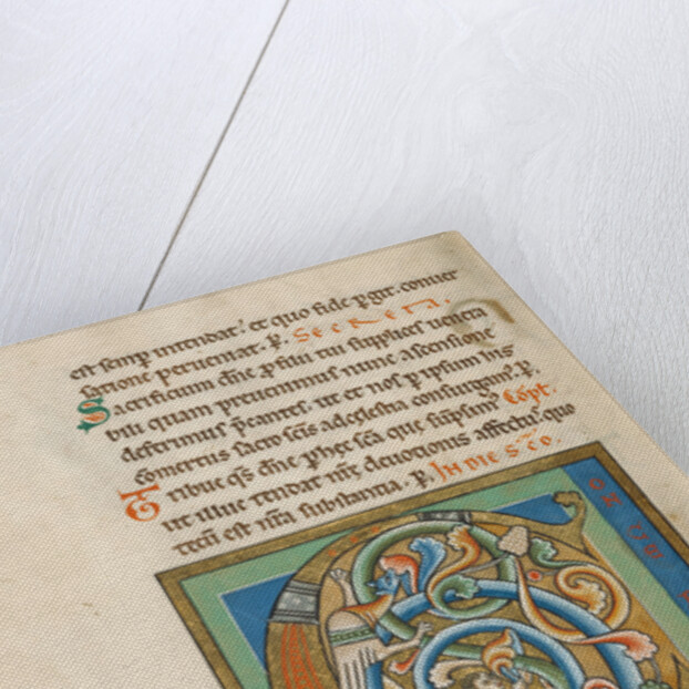 Inhabited Initial C by Anonymous