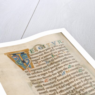 Decorated Initial T by Anonymous