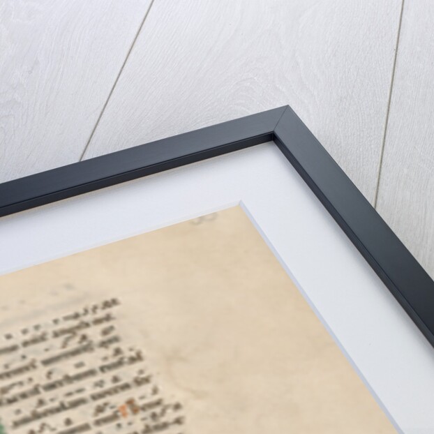 Inhabited Initial B by Anonymous