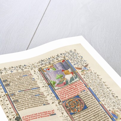 The Death of Brunhilde, Queen of France by Anonymous