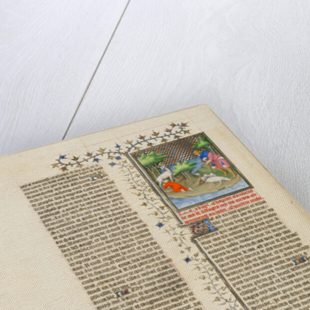 Cyrus, the Grandson of Astyages, King of the Medes, Given Suck by a Wild Animal by Anonymous