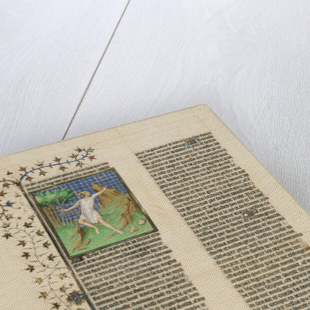 Hercules Poisoned by the Shirt of Nessus by Anonymous