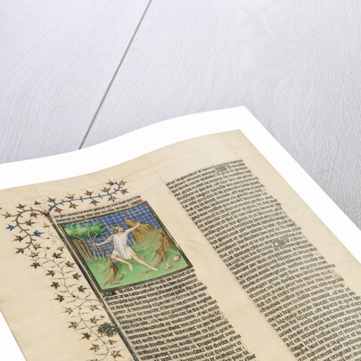 Hercules Poisoned by the Shirt of Nessus by Anonymous