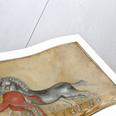 The Vision of Zechariah by Anonymous