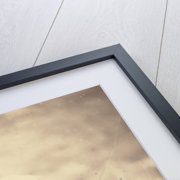 Portrait of Lord Elgin, Plenipotentiary and Ambassador, Who by Felice Beato