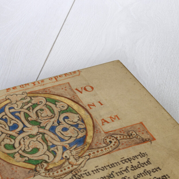 Inhabited Initial Q by Anonymous