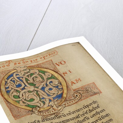 Inhabited Initial Q by Anonymous