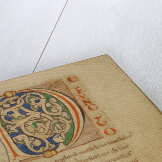 Decorated Initial D by Anonymous