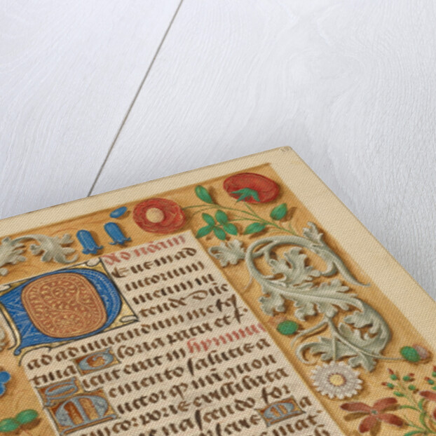 Decorated Initial D by Anonymous