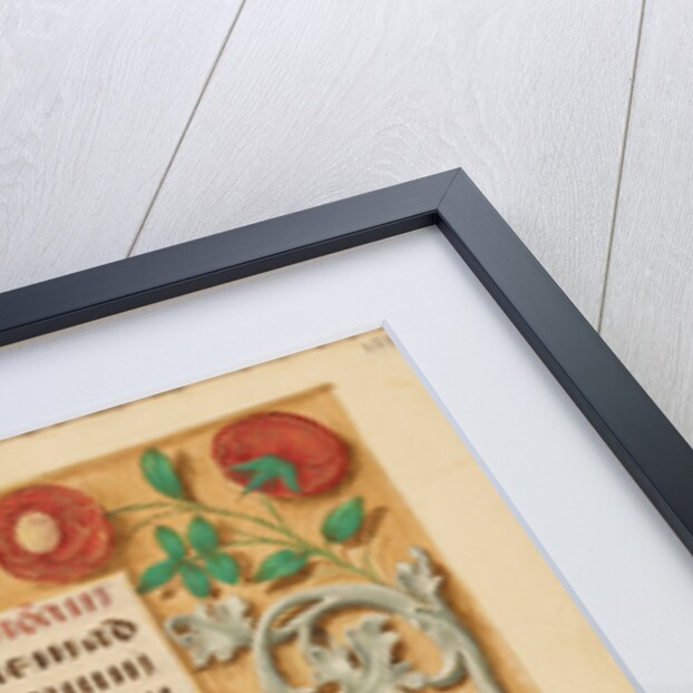 Decorated Initial D by Anonymous