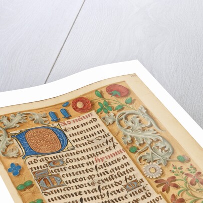 Decorated Initial D by Anonymous