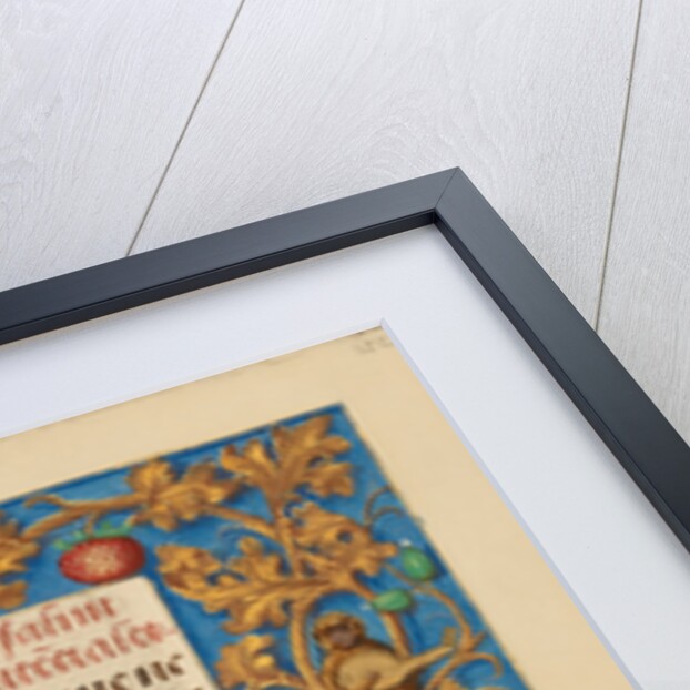 Decorated Initial D by Anonymous