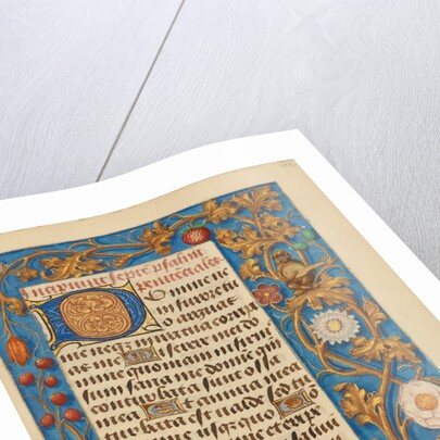 Decorated Initial D by Anonymous