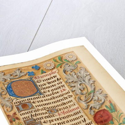 Decorated Initial C by Anonymous