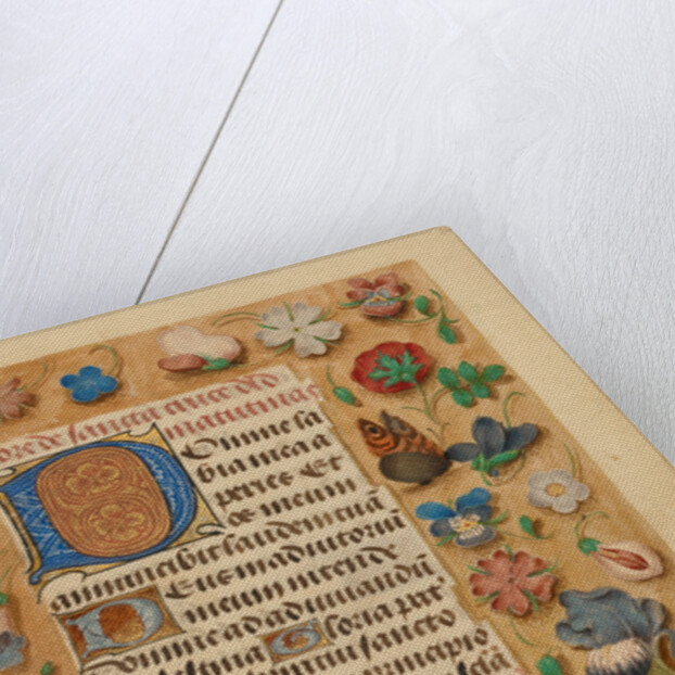 Decorated Initial D by Anonymous