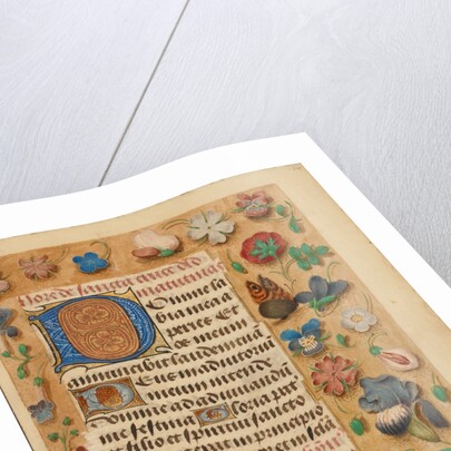 Decorated Initial D by Anonymous