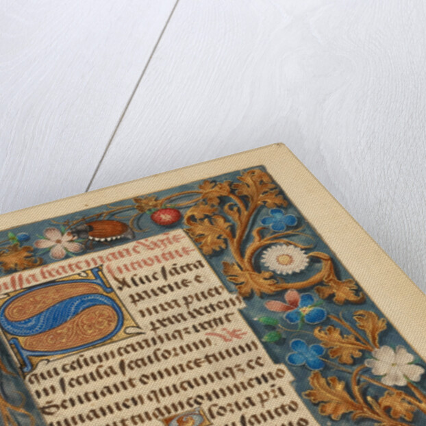 Decorated Initial S by Anonymous