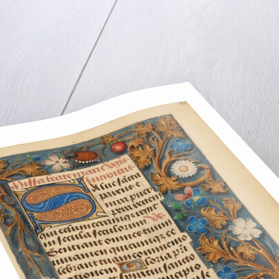 Decorated Initial S by Anonymous