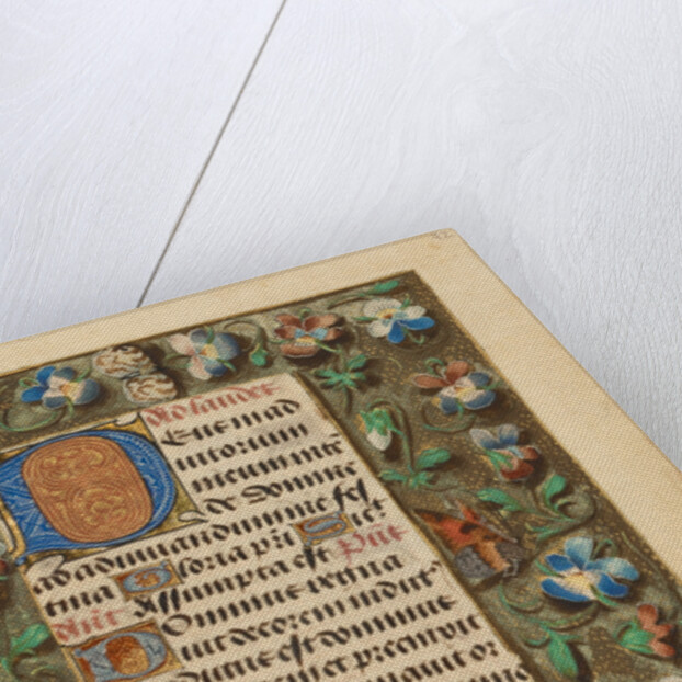 Decorated Initial D by Anonymous