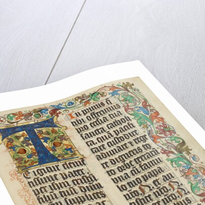 Decorated Initial T by Anonymous