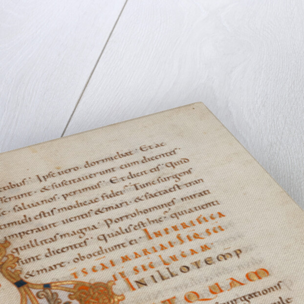 Decorated Initial P by Anonymous