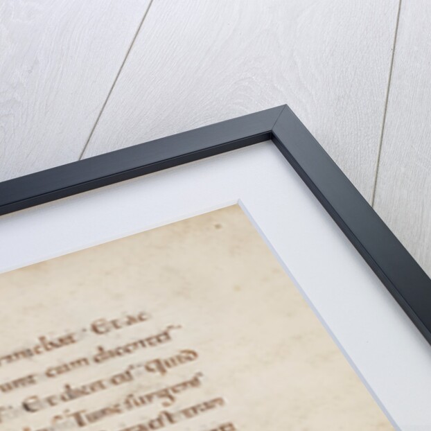 Decorated Initial P by Anonymous