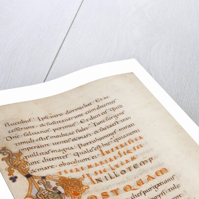 Decorated Initial P by Anonymous