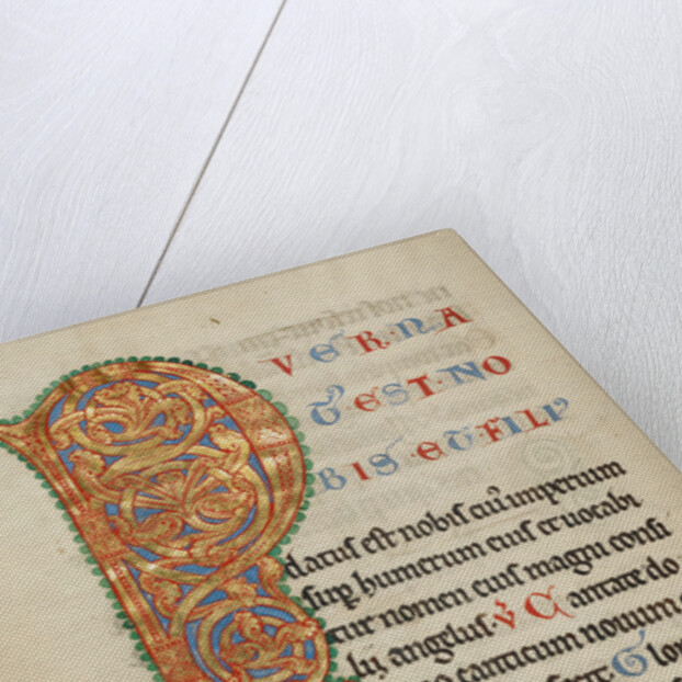 Inhabited Initial P by Anonymous