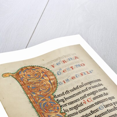 Inhabited Initial P by Anonymous