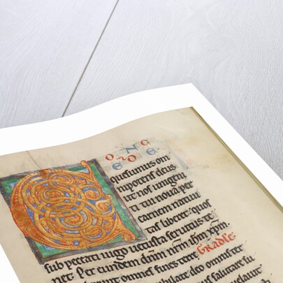 Decorated Initial C by Anonymous