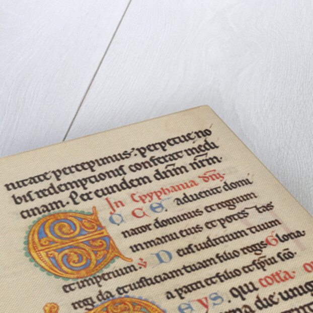 Decorated Initial E, Decorated Initial D by Anonymous