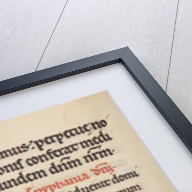 Decorated Initial E, Decorated Initial D by Anonymous