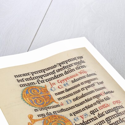 Decorated Initial E, Decorated Initial D by Anonymous