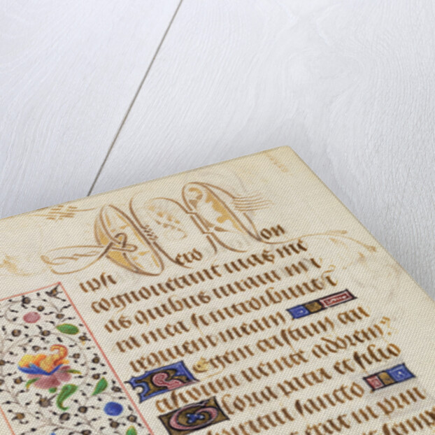 Decorated Text Page by Nicolas Spierinc