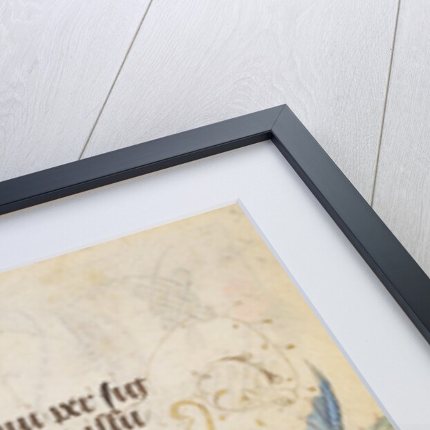 Decorated Text Page by Nicolas Spierinc