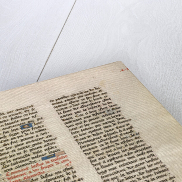 Decorated Text Page by Anonymous
