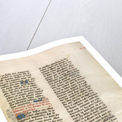Decorated Text Page by Anonymous