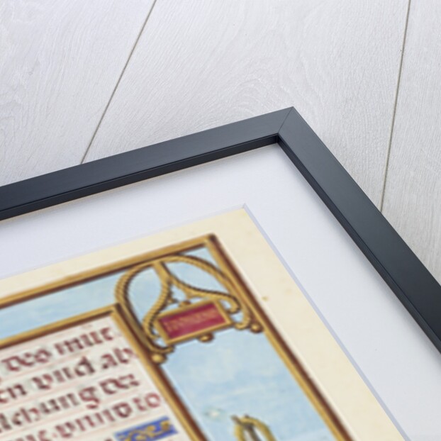 Border with Moses and the Brazen Serpent by Simon Bening